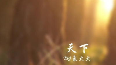 豆豆果 - DJ豪大大《天下》