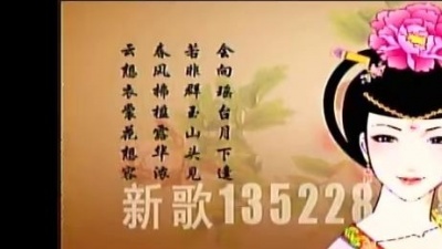 王强 - 太子妃