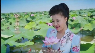 王丽达 - 湘妹子
