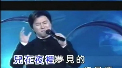 满文军 - 亲情电话