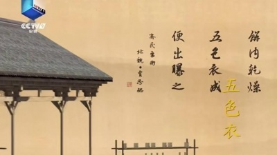 凤凰传奇 - 中国酿造