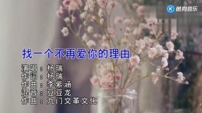 杨瑞 - 找一个不再爱你的理由 (KTV版)