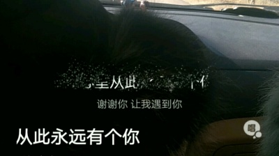 圈宝儿 - 谢谢你让我遇到你