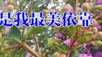 穆哲熙 - 纳兰珠儿梁帅一首《你是我最美依靠》声声感人，字字催泪，听哭了