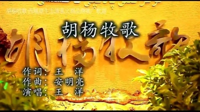 王洋 - 胡杨牧歌