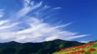 音乐制片厂 - 推荐刘紫玲一首《月满西楼》，好听极了，旋律优美
