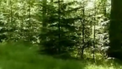 沪宅 - 经典怀旧歌曲：小路