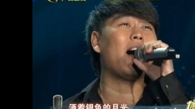 李龙、蒲洋、一声所爱·大地飞歌 - 在银色的月光下