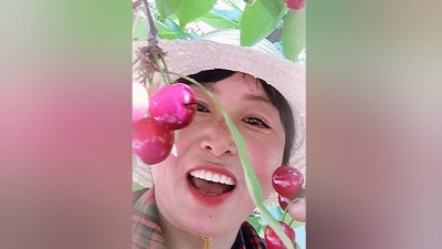 叮叮当当 - 樱桃园里的喜悦