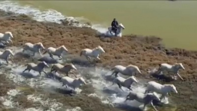 璎珞流苏 - 音乐短片 Phil Coulter - Ride On