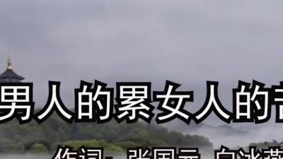 张国元 - 男人的累女人的苦