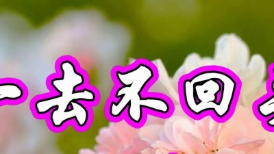 吃瓜音乐 - 方怡萍一首伤感情歌《一去不回头》非常好听