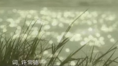 黄美诗 - 蝶儿蝶儿满天飞