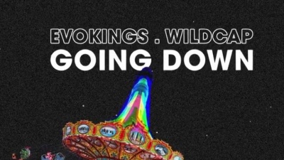 Evokings、Wildcap - Going Down