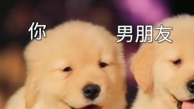 C位小锅锅 - 你个对象秀恩爱的样子也就是这样吧！#搞笑 #秀恩爱