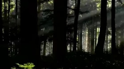 KOKIA - Black is the colour