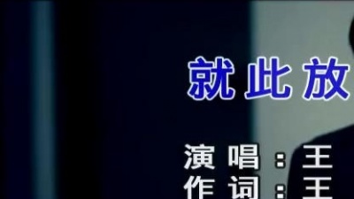 王迪 - 就此放手