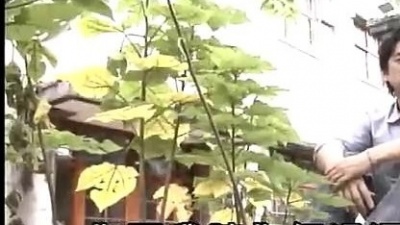 罗文聪 - 情话四季