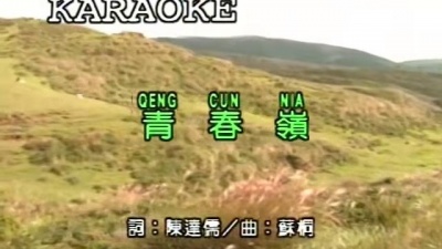 阿吉仔 - 青春岭