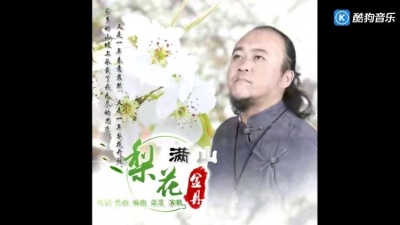 金丹 - 梨花满山