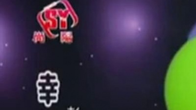 彭立、王亮(9) - 幸福情歌