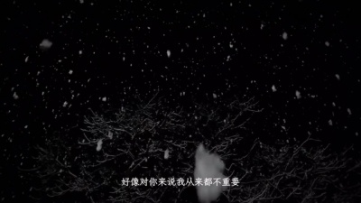 白允y、孙才垣 - 栀子花与雪花