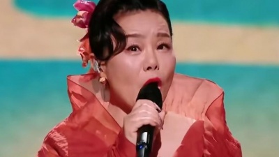 龚琳娜、润夏、郑向东、玩音乐的大猫Mi、浮萍浮萍草 - 少年行