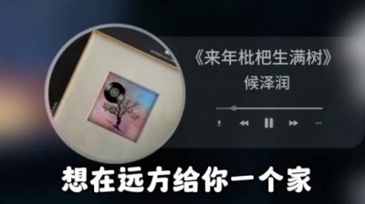 豆豆果 - 侯泽润《来年枇杷生满树》