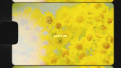 Brittany Howard - Samson