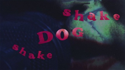 The Cure - Shake Dog Shake