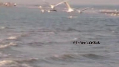 邹沛沛 - 沉溺