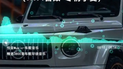 别捏我小肥脸哦 - 何为硬曲重低音