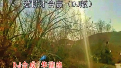 华龍绝 - 爱拼才会赢最新DJ版纯伴奏