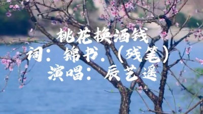 辰艺遥 - 桃花换酒钱
