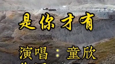 阿北 - 闽南语歌曲《是你才有》演唱：童欣，经典老歌，流行歌曲，闽南歌