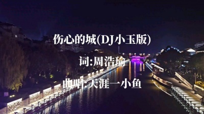 天涯一小鱼 - 伤心的城DJ版