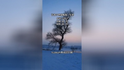 豆豆果 - 赵洋《许我今世缘赐我一生寒》饭制歌词版