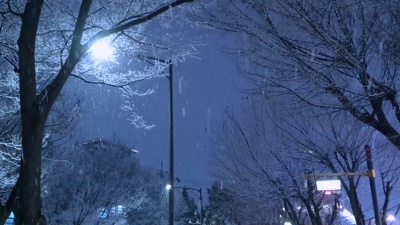 사이버 파크 게임랜드 - 안녕 서울 (See you Seoul)