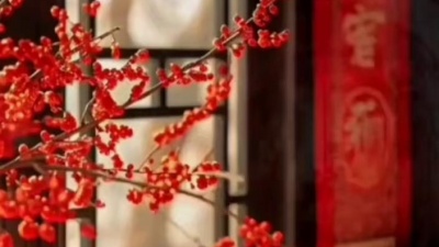 豆豆果 - 尚妍《八方来财四面花开》饭制