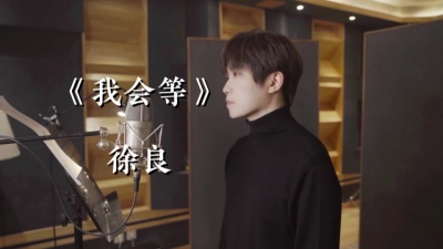 徐良 - 我会等