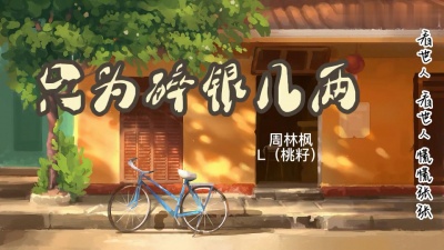 豆豆果 - 周林枫、L（桃籽）《只为碎银几两》饭制