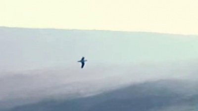 Oisin Leech - One Hill Further