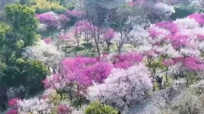 沁心小筑 - K歌情缘
