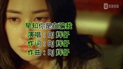 DJ辉仔 - 早知你是在骗我—DJ辉仔