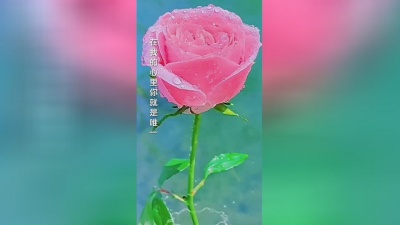 谭永丽 - 【今生只为你着迷】   演唱：谭永丽&徐先生