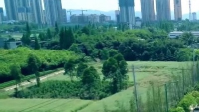 何刚 - 天府四川