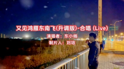 刘培 - 东小杨《又见鸿雁东南飞》Live合唱版，一首既伤感又好听的歌