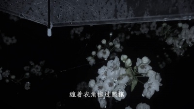 豆豆果 - 周楚斯《霜雪千年》DJ