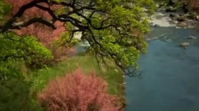 广东水神 - 清心普善咒