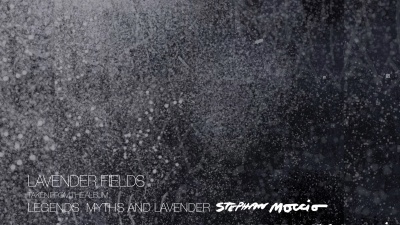 Stephan Moccio - Lavender Fields
